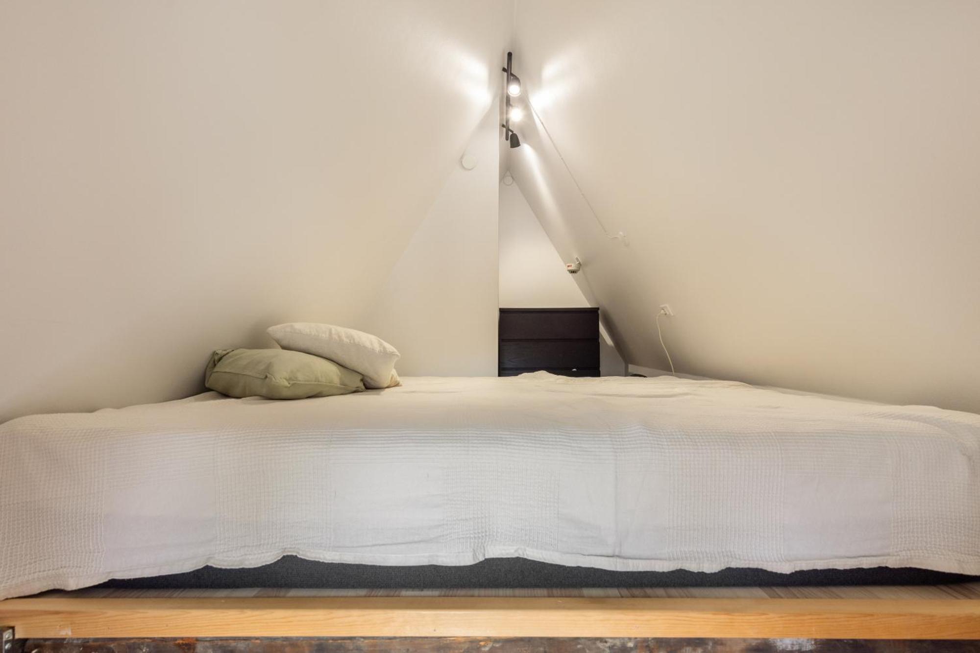 Charming Loft City Center Apartment โคเปนเฮเกน ภายนอก รูปภาพ