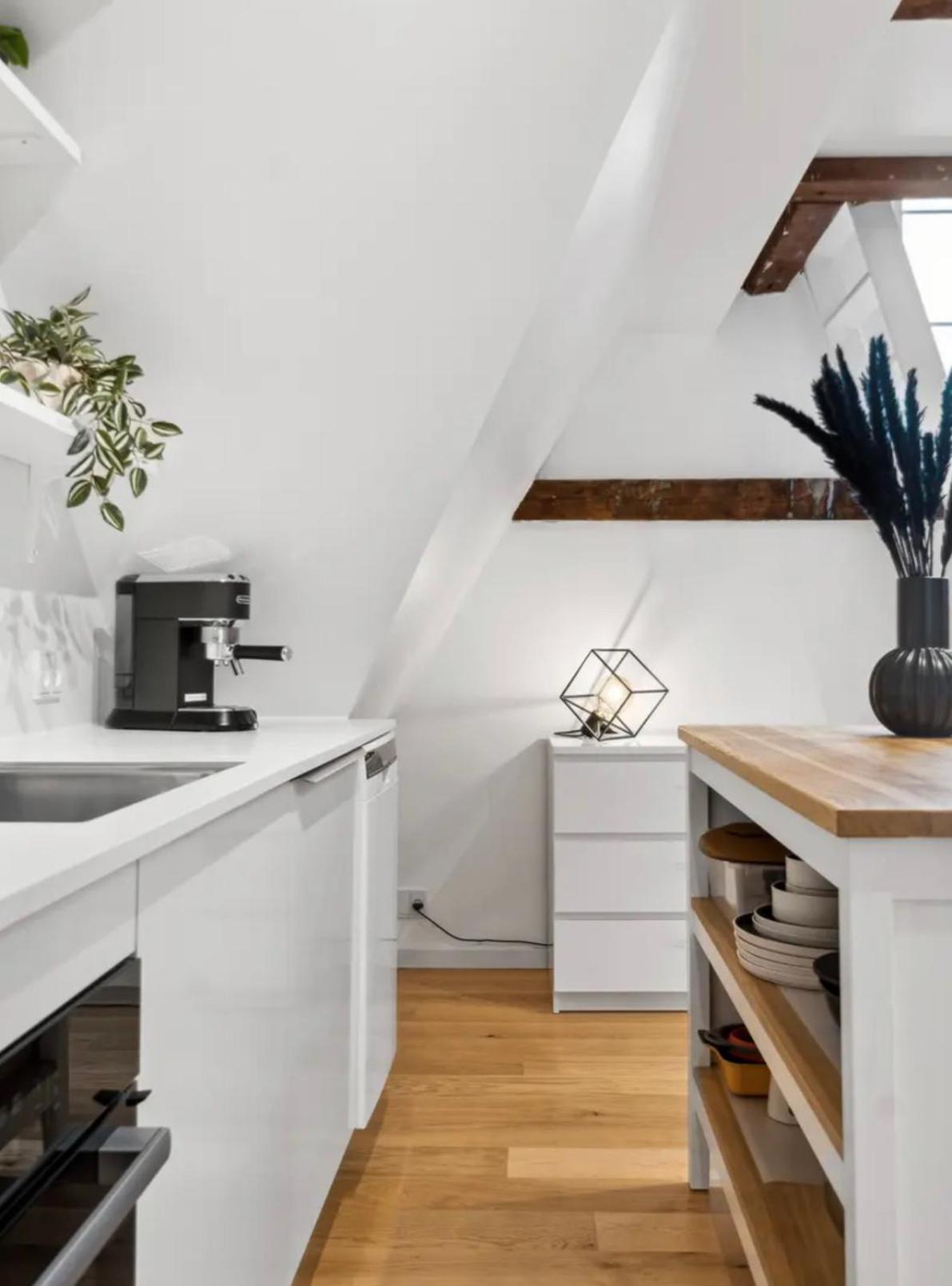 Charming Loft City Center Apartment โคเปนเฮเกน ภายนอก รูปภาพ